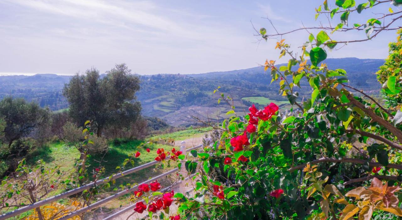 Forestata Village Kouvalata Dış mekan fotoğraf