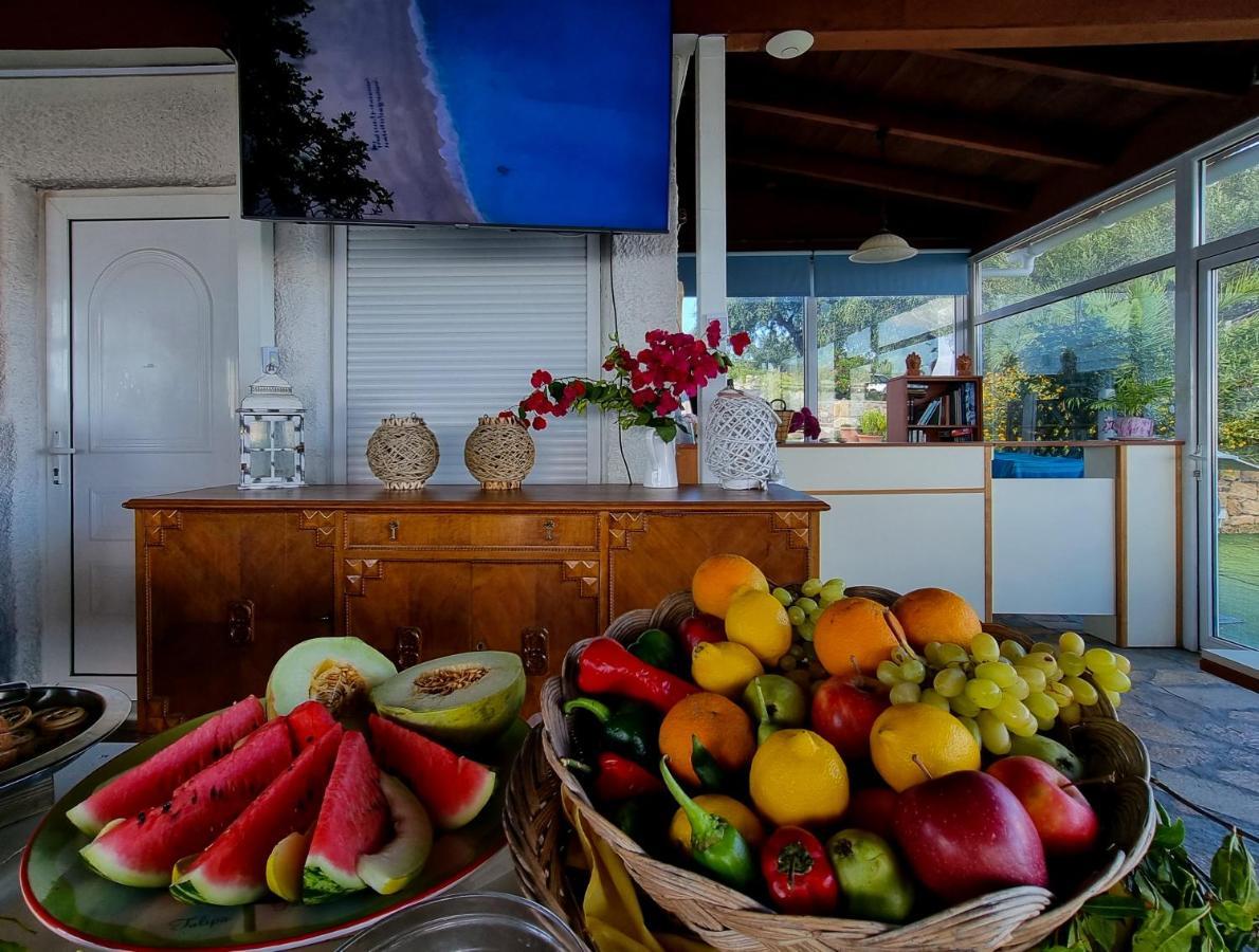Forestata Village Kouvalata Dış mekan fotoğraf