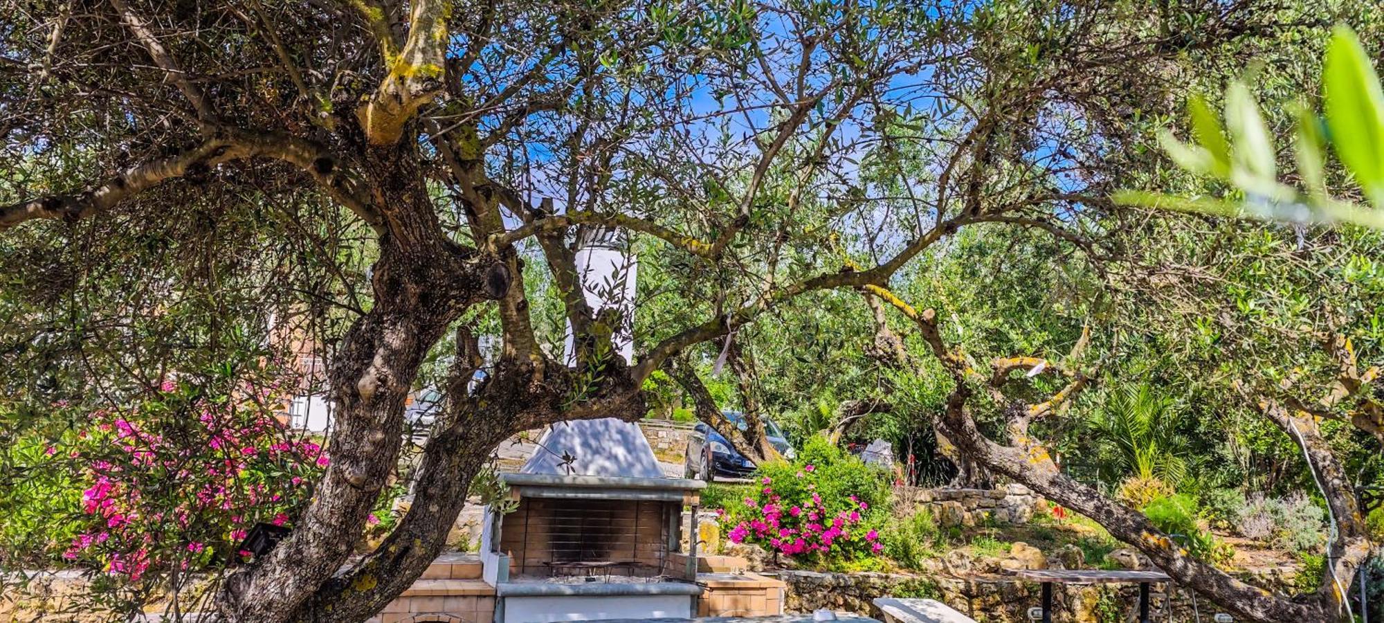 Forestata Village Kouvalata Dış mekan fotoğraf